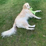 D'hotes Les Petits Oiseaux 住宿加早餐酒店