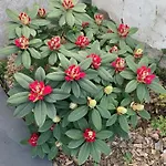 D'hotes Les Petits Oiseaux 3*