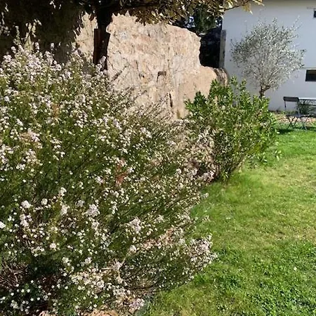 D'hotes Les Petits Oiseaux Bed & Breakfast Nantes