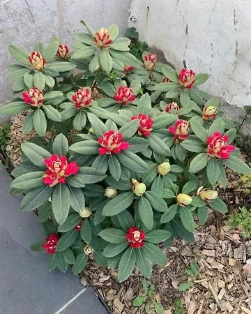 D'hotes Les Petits Oiseaux 3*