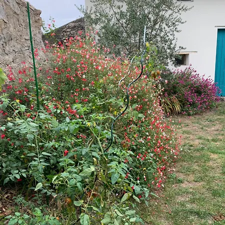 D'hotes Les Petits Oiseaux Bed & Breakfast *