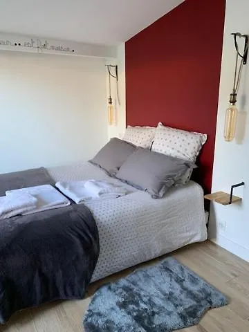 D'hotes Les Petits Oiseaux 3* 낭트