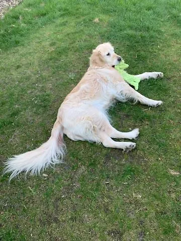 D'hotes Les Petits Oiseaux Nocleg ze śniadaniem