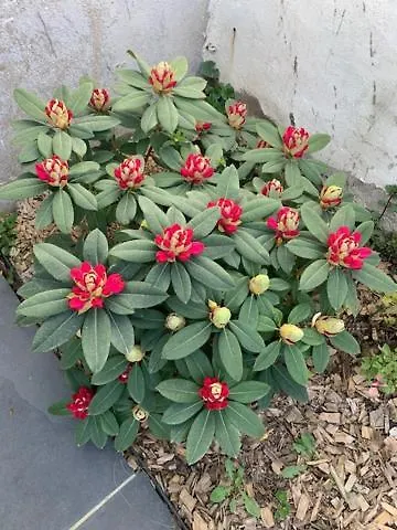 D'hotes Les Petits Oiseaux 3*