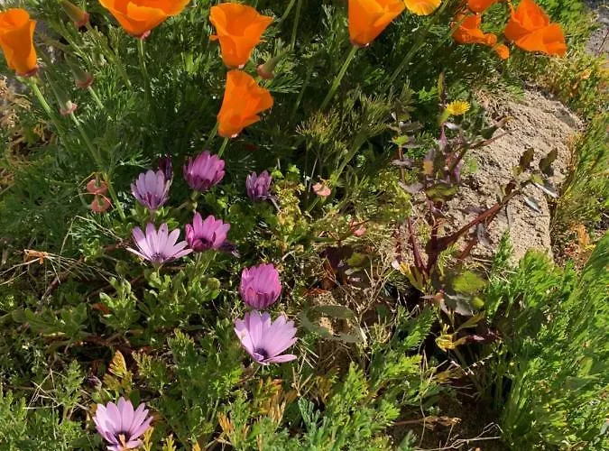 B&B D'hotes Les Petits Oiseaux