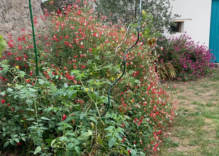 D'hotes Les Petits Oiseaux Bed & Breakfast 3*